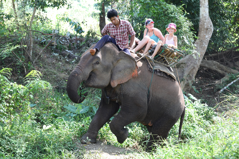 elefant-3